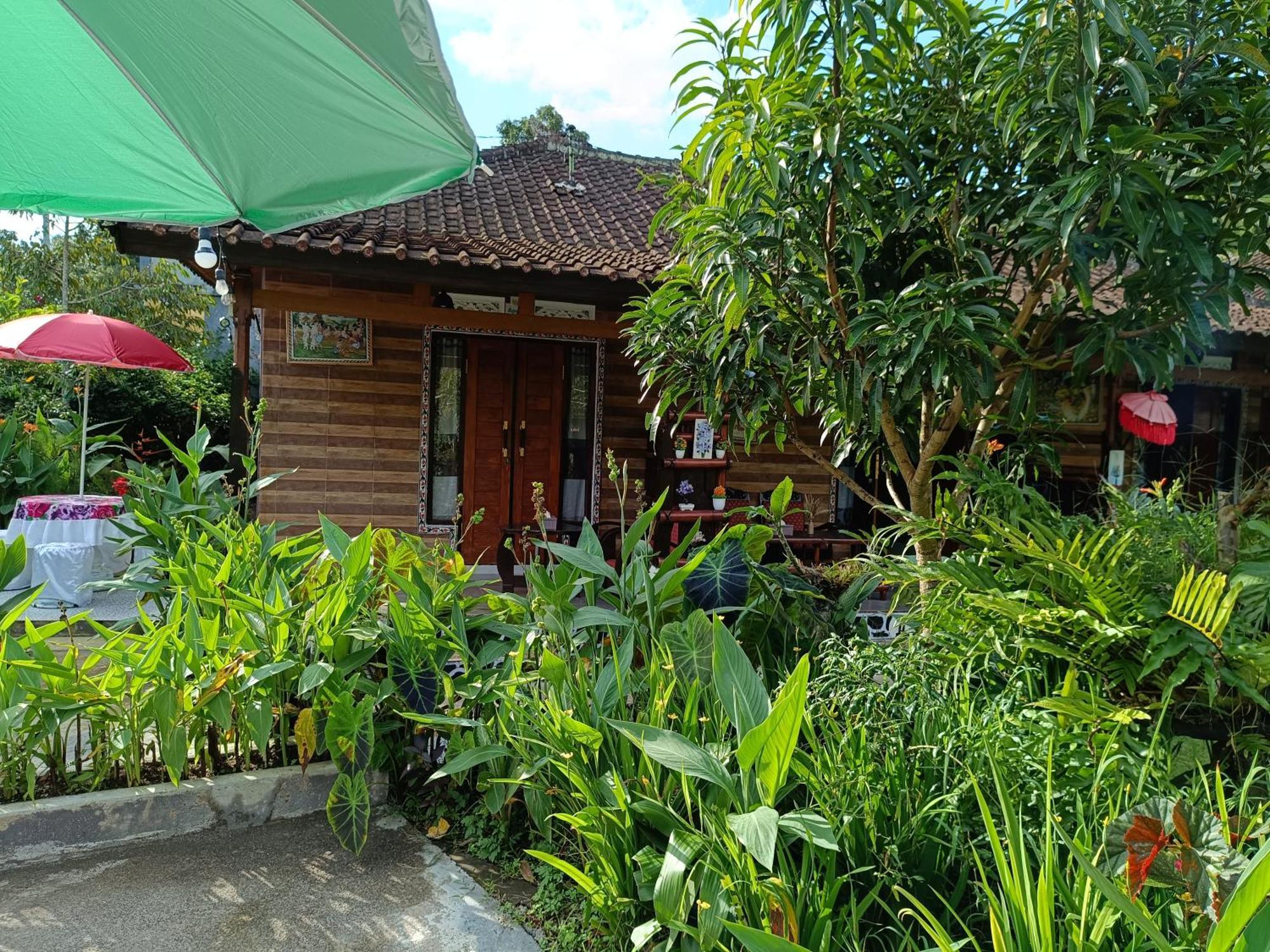 Gosela Bali Daire Munduk Dış mekan fotoğraf