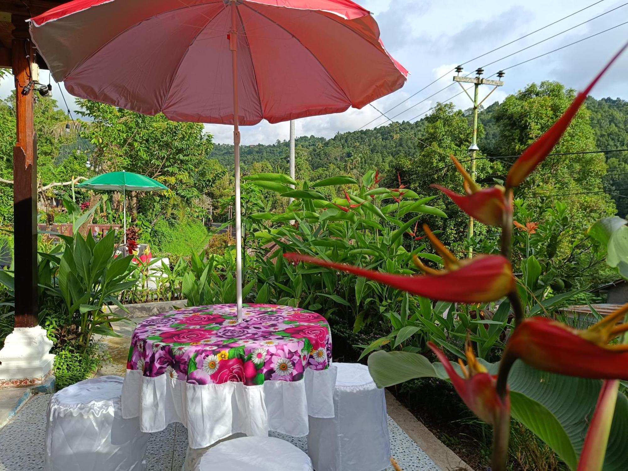 Gosela Bali Daire Munduk Dış mekan fotoğraf