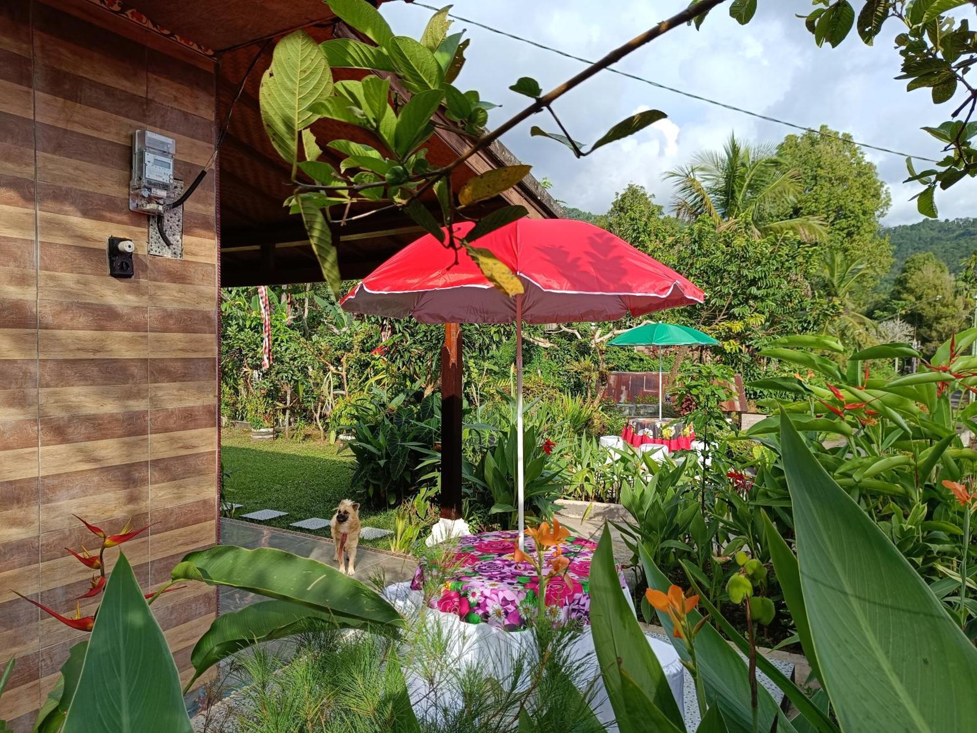 Gosela Bali Daire Munduk Dış mekan fotoğraf